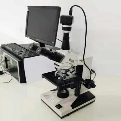 Elektronenmikroskop